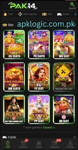 PAK14 Game