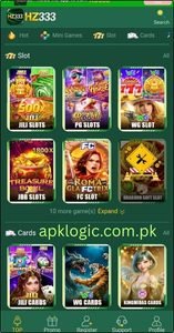 HZ333 Game