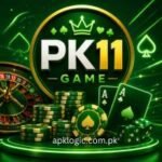 PK11 GAME
