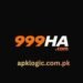 999HA Game Guide