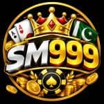 SM999 Game Guide