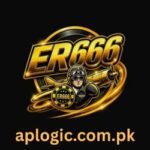ER666 Game
