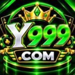 Y999 Game Guide
